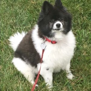 Meet your Posher, Gregg